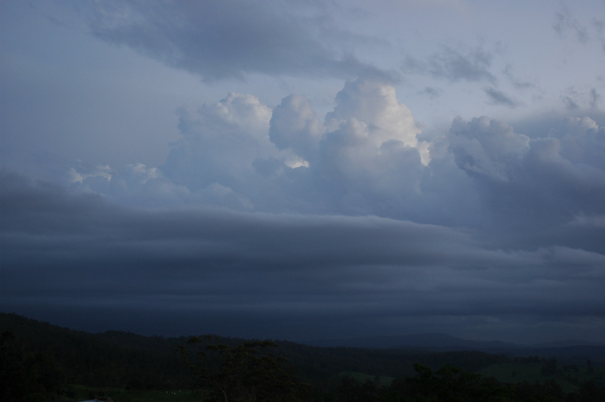 cumulus congestus : Mallanganee NSW   7 November 2006