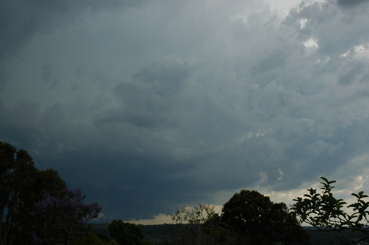 cumulonimbus thunderstorm_base : Kyogle, NSW   8 November 2006