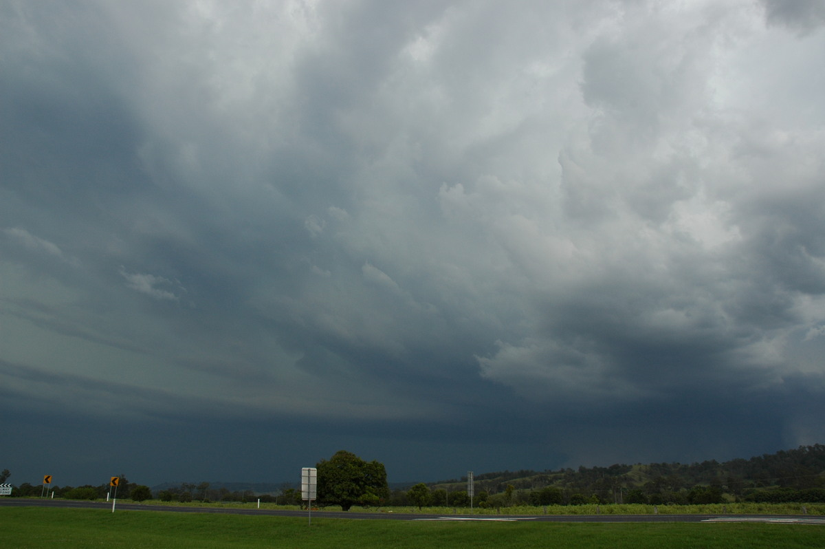 inflowband thunderstorm_inflow_band : Wiangaree, NSW   8 November 2006