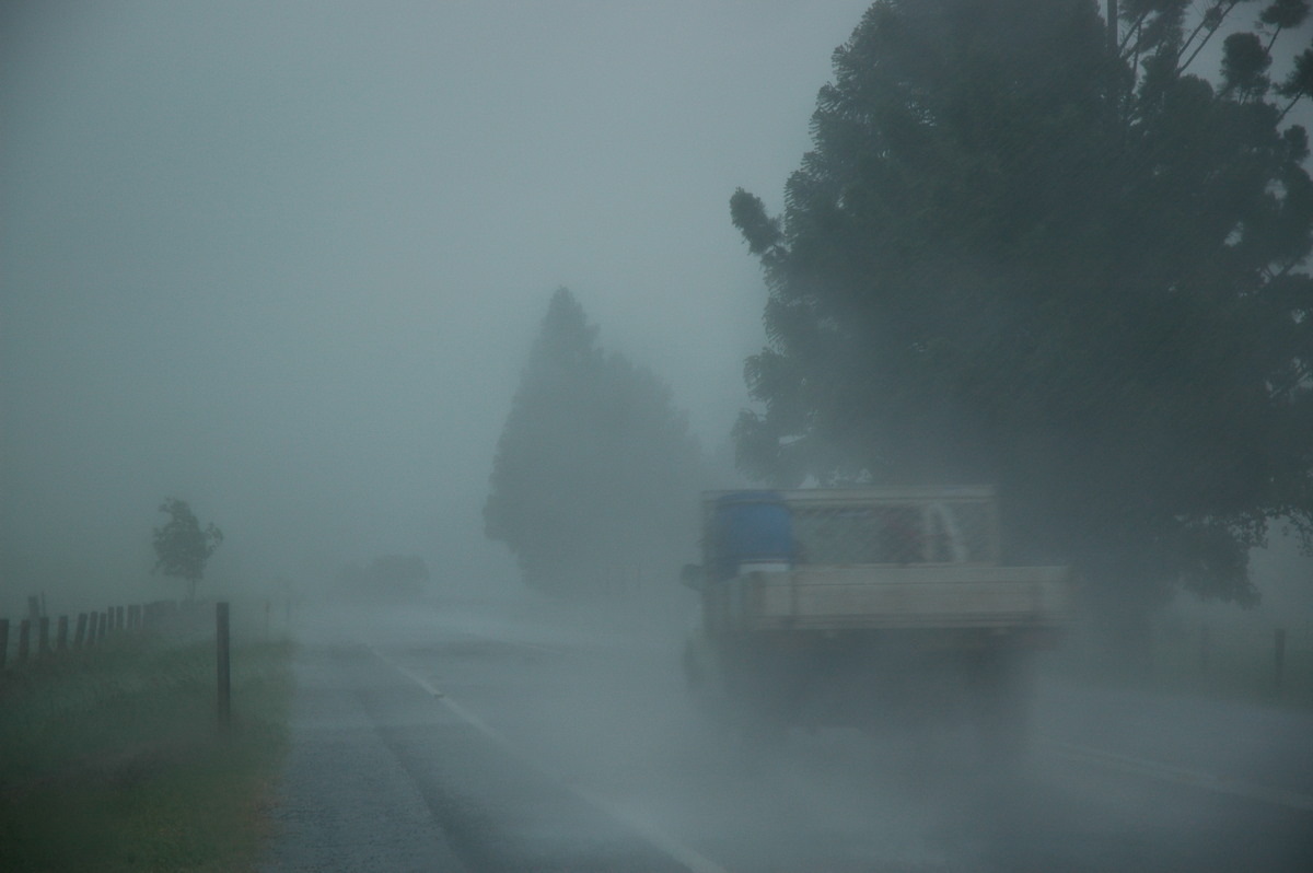 precipitation precipitation_rain : N of Wiangaree, NSW   8 November 2006
