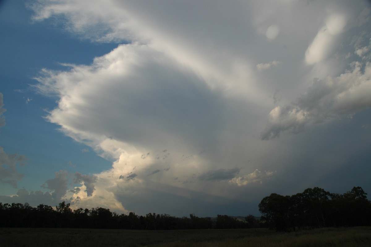 thunderstorm cumulonimbus_incus : W of Tenterfield, NSW   8 November 2006