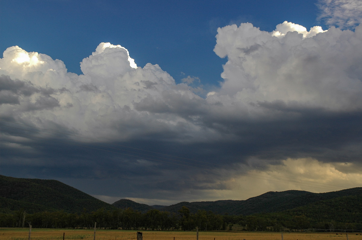 cumulus congestus : W of Tenterfield, NSW   8 November 2006