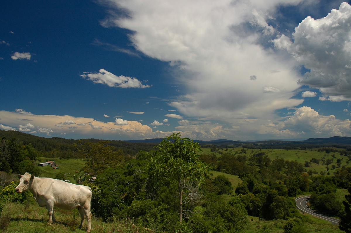 anvil thunderstorm_anvils : Mallanganee NSW   11 November 2006