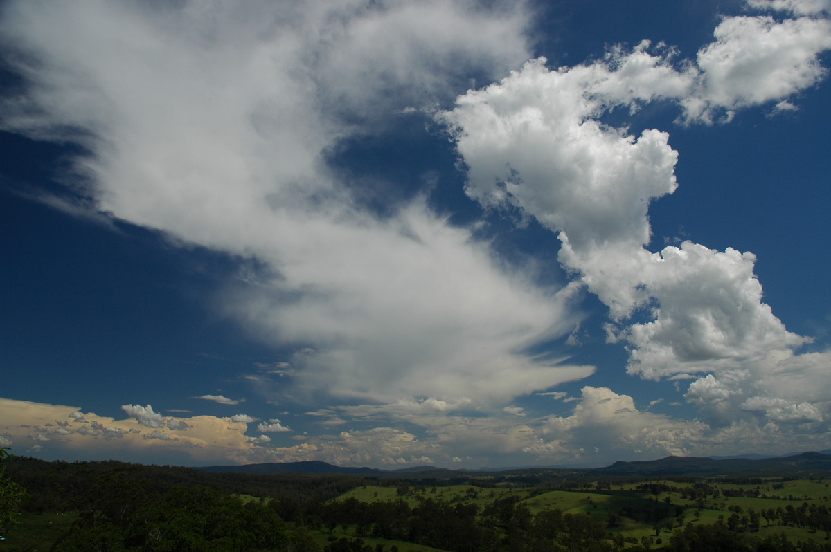 cumulus mediocris : Mallanganee NSW   11 November 2006