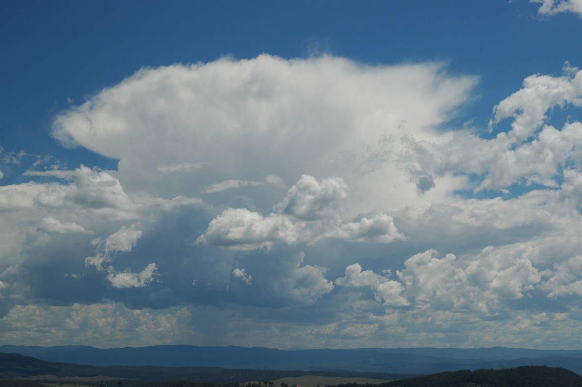 thunderstorm cumulonimbus_incus : Mallanganee NSW   11 November 2006