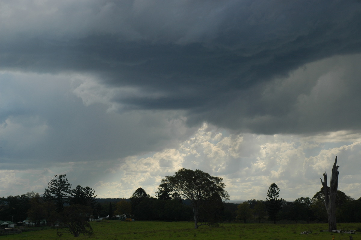 cumulonimbus thunderstorm_base : Tabulum, NSW   11 November 2006