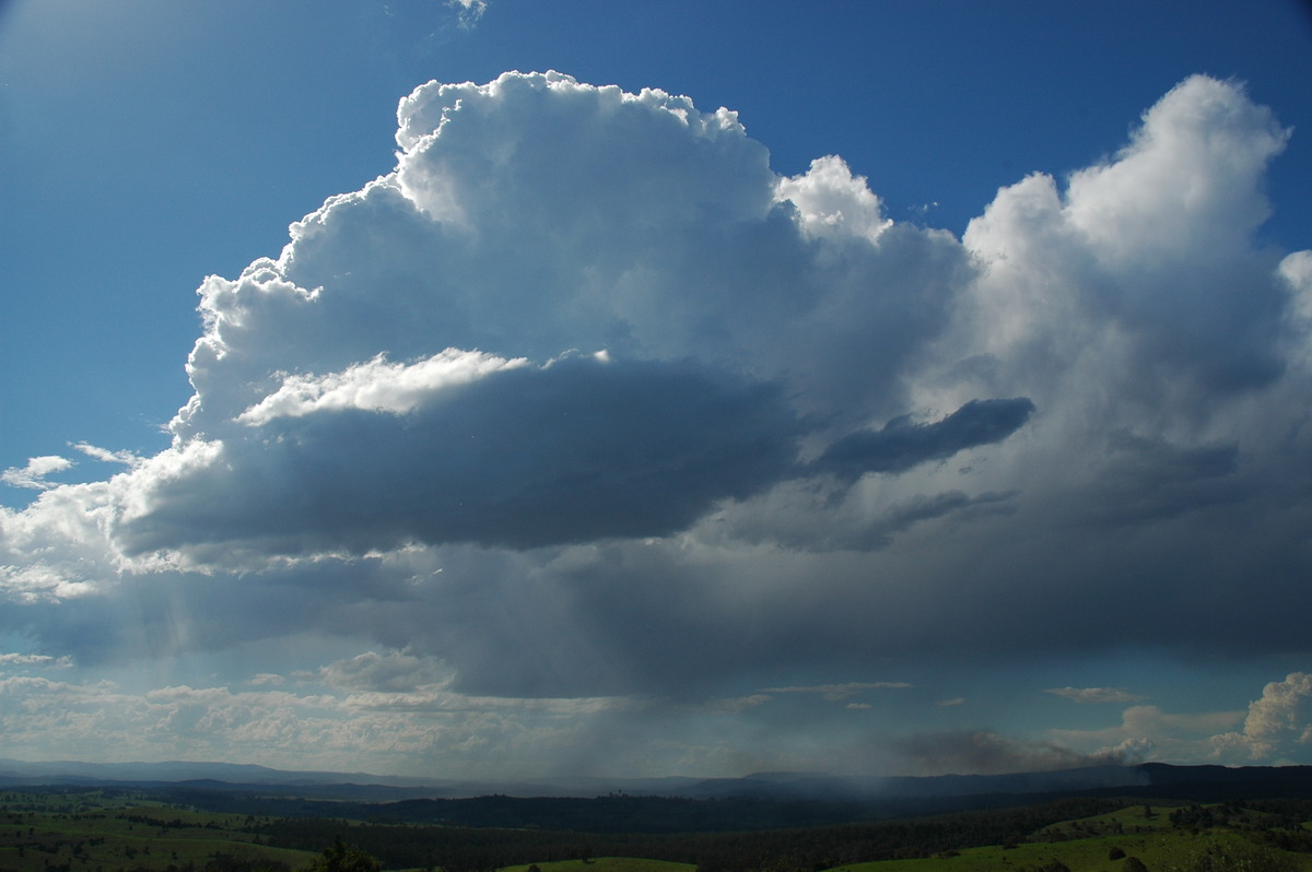 cumulus congestus : Mallanganee NSW   11 November 2006