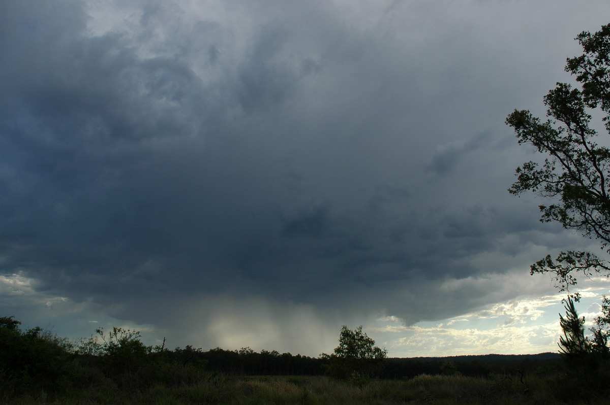 raincascade precipitation_cascade : Whiporie, NSW   11 November 2006