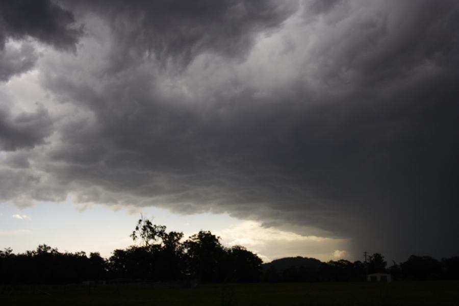 cumulonimbus thunderstorm_base : Nabiac, NSW   13 November 2006