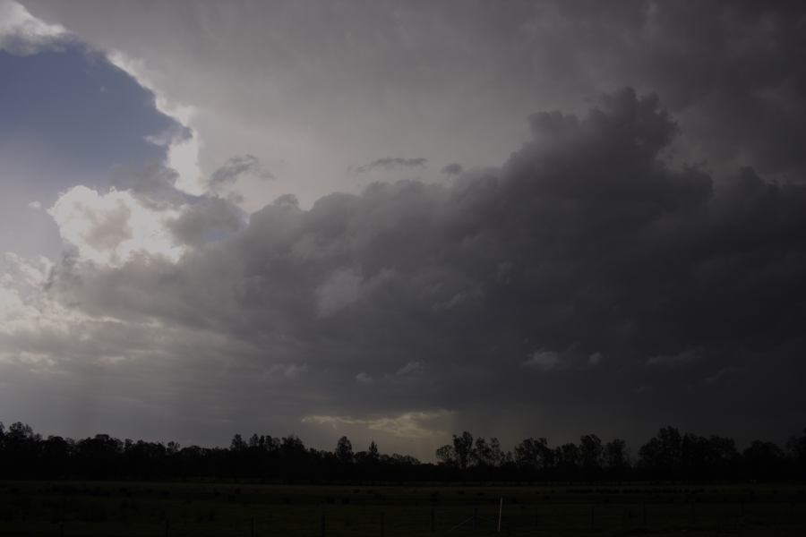cumulonimbus thunderstorm_base : Coopernook, NSW   13 November 2006