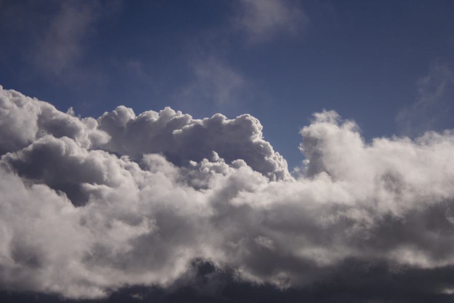 cumulus mediocris : Shooters Hill, NSW   15 November 2006