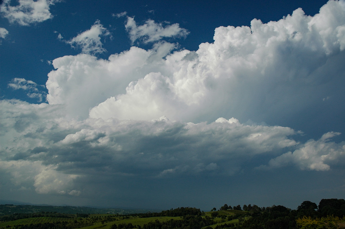 thunderstorm cumulonimbus_incus : McLeans Ridges, NSW   15 November 2006