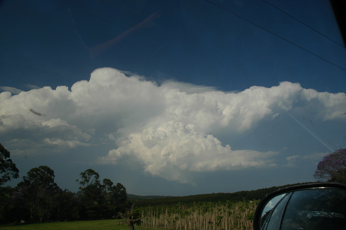 cumulonimbus supercell_thunderstorm : Alstonville, NSW   15 November 2006