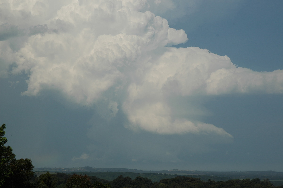 wallcloud thunderstorm_wall_cloud : Alstonville, NSW   15 November 2006