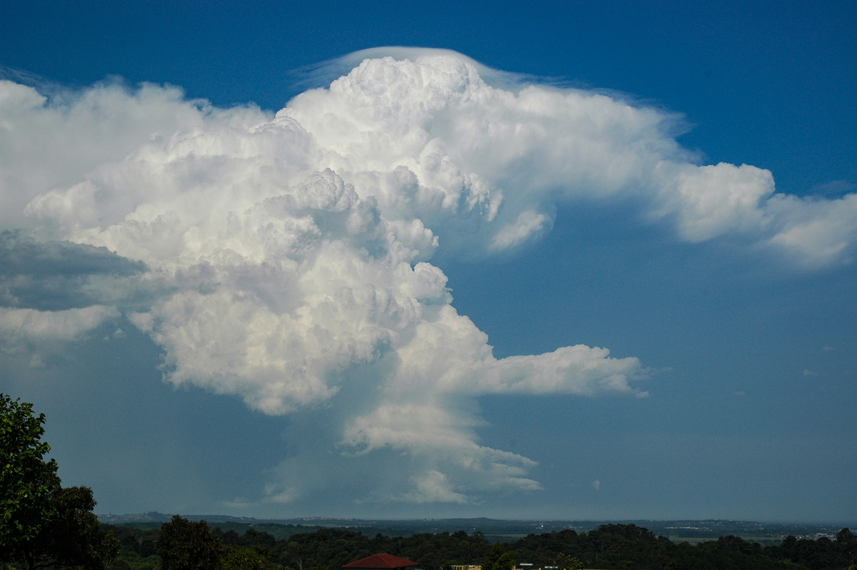 wallcloud thunderstorm_wall_cloud : Alstonville, NSW   15 November 2006