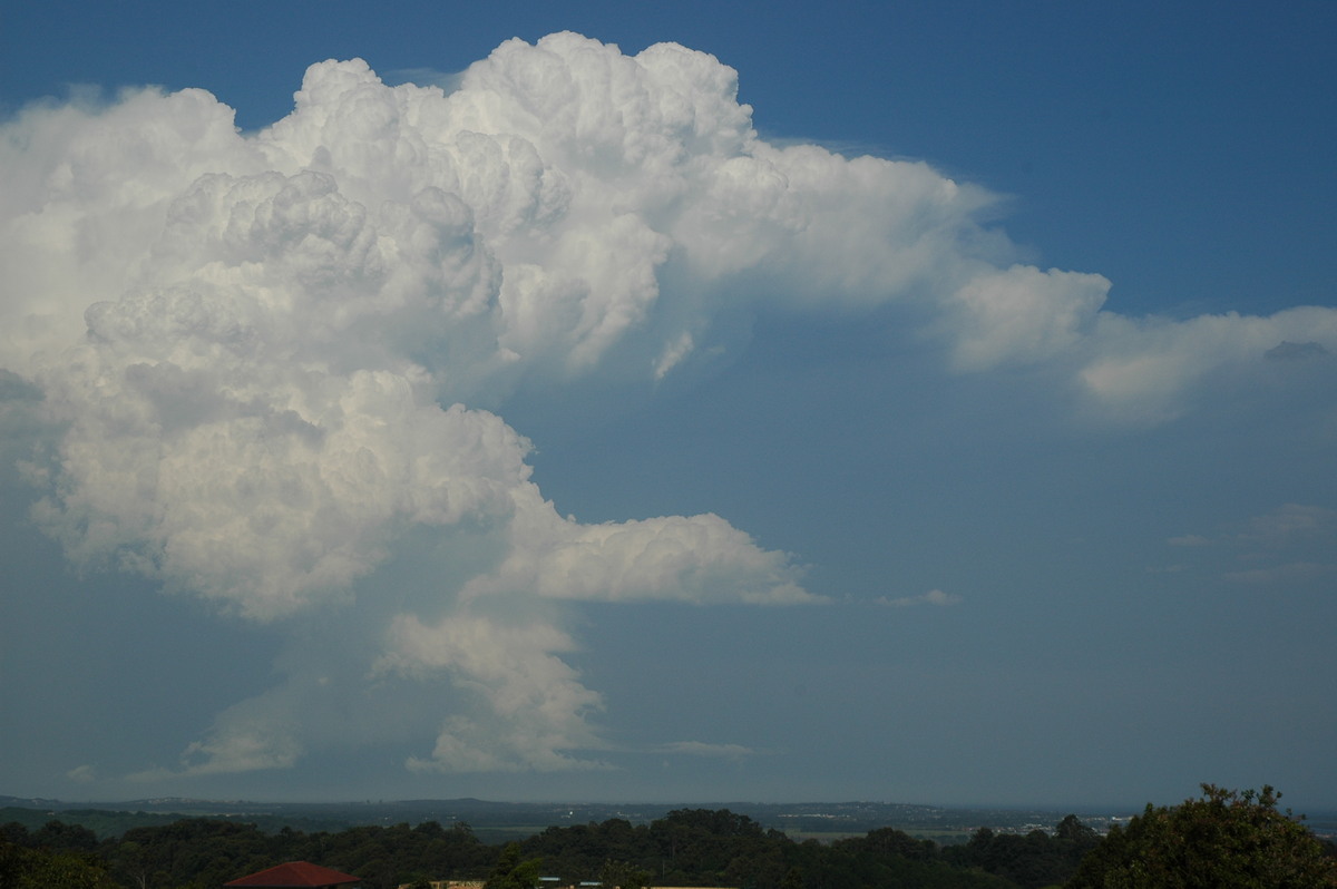anvil thunderstorm_anvils : Alstonville, NSW   15 November 2006