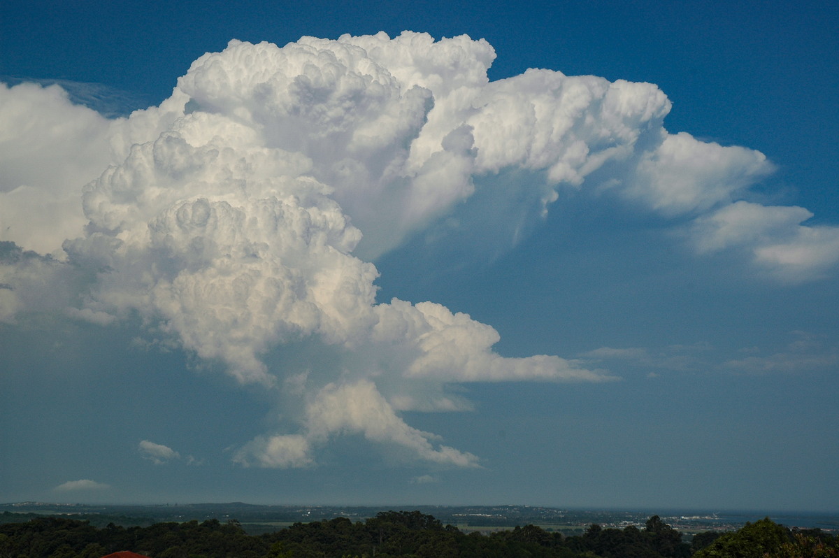 updraft thunderstorm_updrafts : Alstonville, NSW   15 November 2006