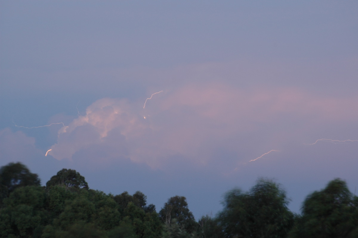 lightning lightning_bolts : McLeans Ridges, NSW   15 November 2006