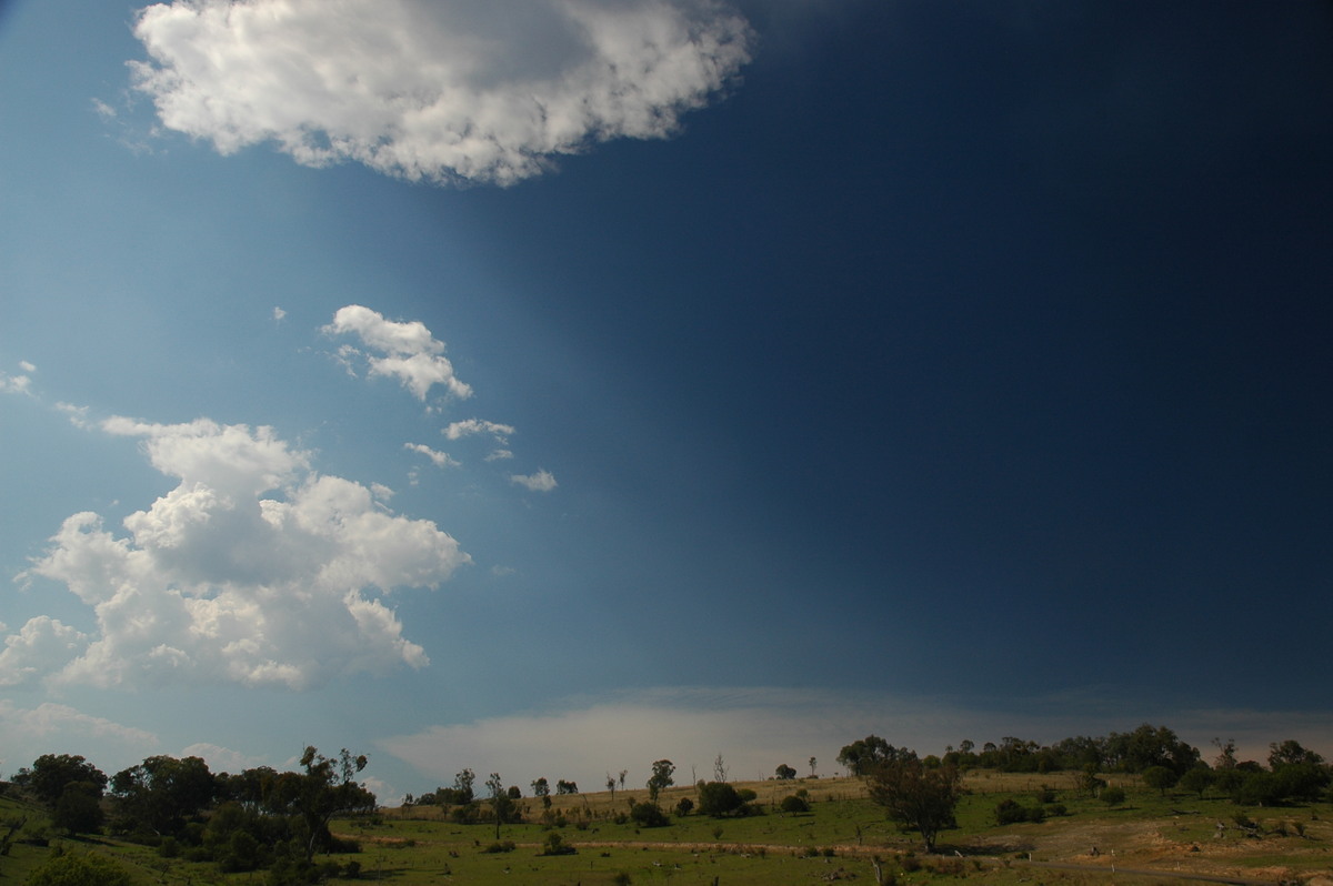 cumulus humilis : W of Tenterfield, NSW   24 November 2006