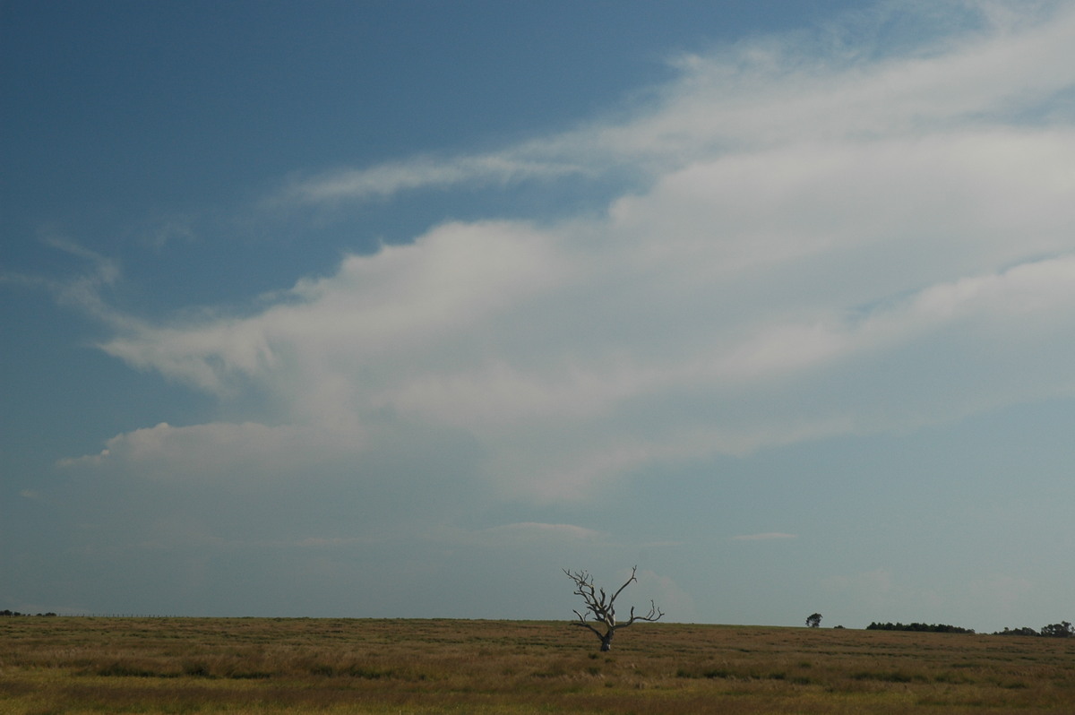 anvil thunderstorm_anvils : Deepwater, NSW   24 November 2006