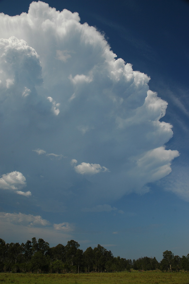 anvil thunderstorm_anvils : Myrtle Creek, NSW   26 November 2006