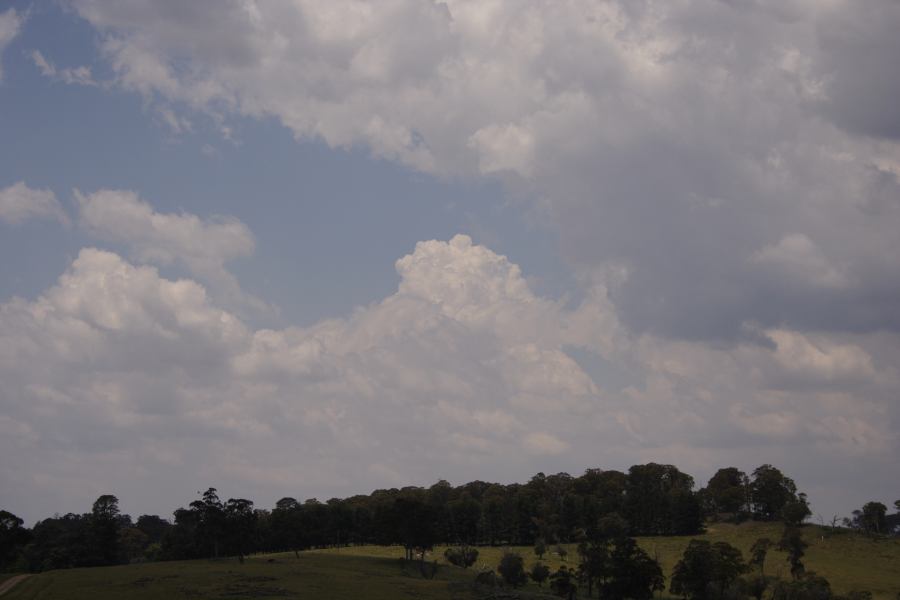 cumulus mediocris : SE of Guyra, NSW   27 November 2006