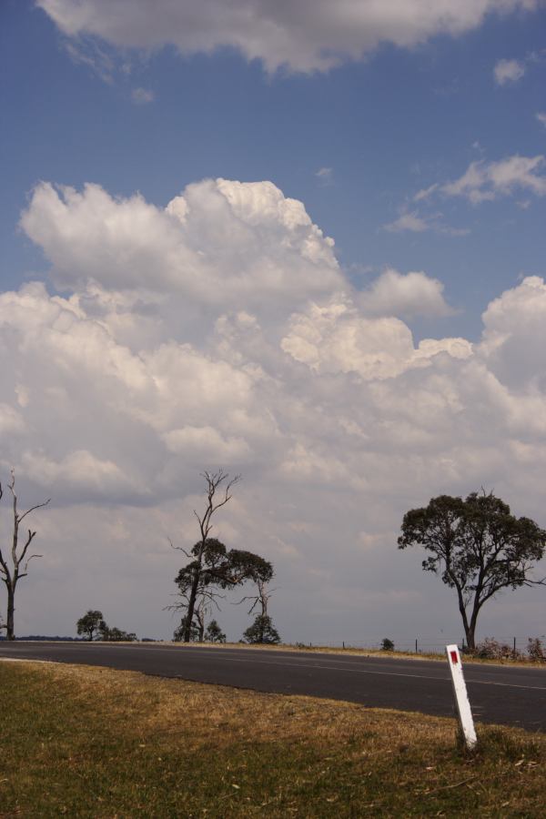 cumulus congestus : E of Guyra, NSW   27 November 2006