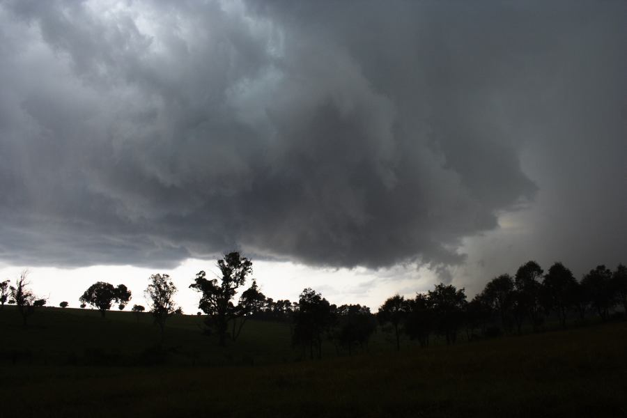 cumulonimbus supercell_thunderstorm : WNW of Ebor, NSW   27 November 2006