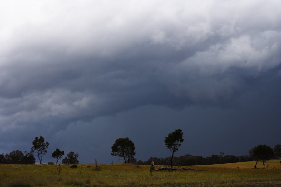 cumulonimbus thunderstorm_base : E of Guyra, NSW   27 November 2006