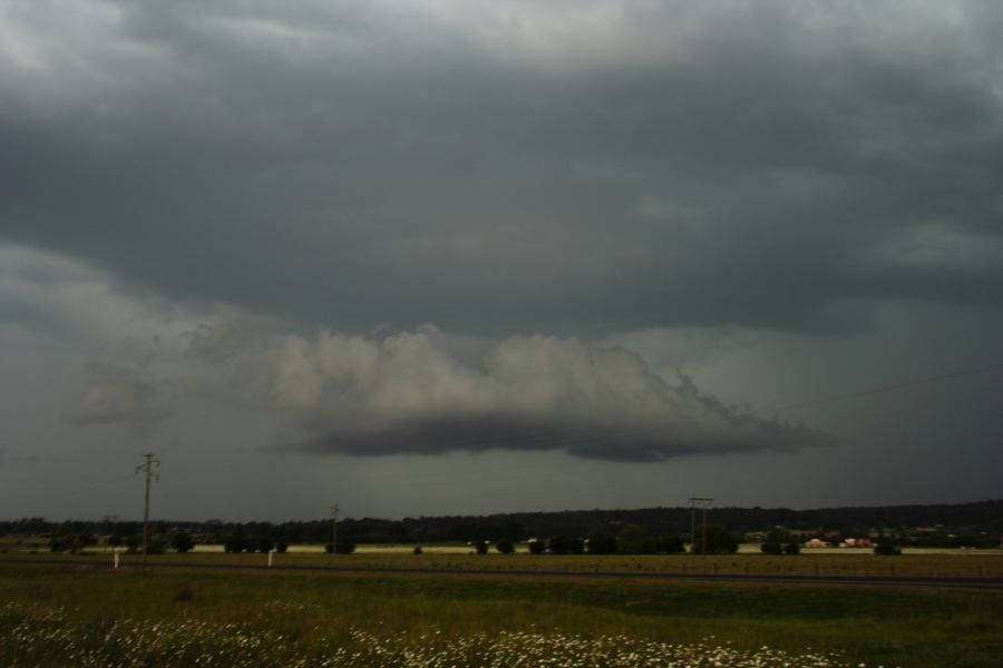 cumulonimbus thunderstorm_base : near Glen Innes, NSW   27 November 2006