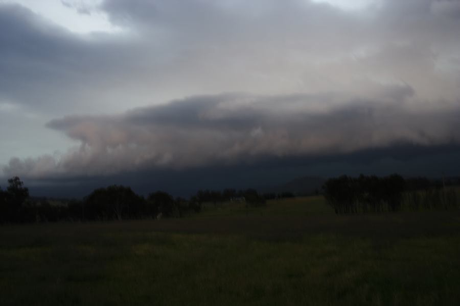 shelfcloud shelf_cloud : 20km S of Tenterfield, NSW   27 November 2006