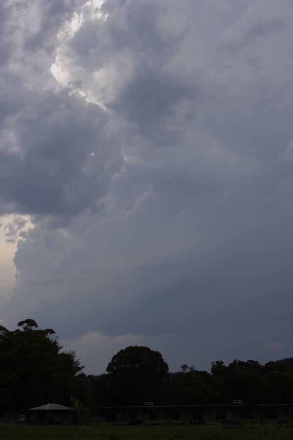 cumulonimbus thunderstorm_base : near Kew, NSW   28 November 2006