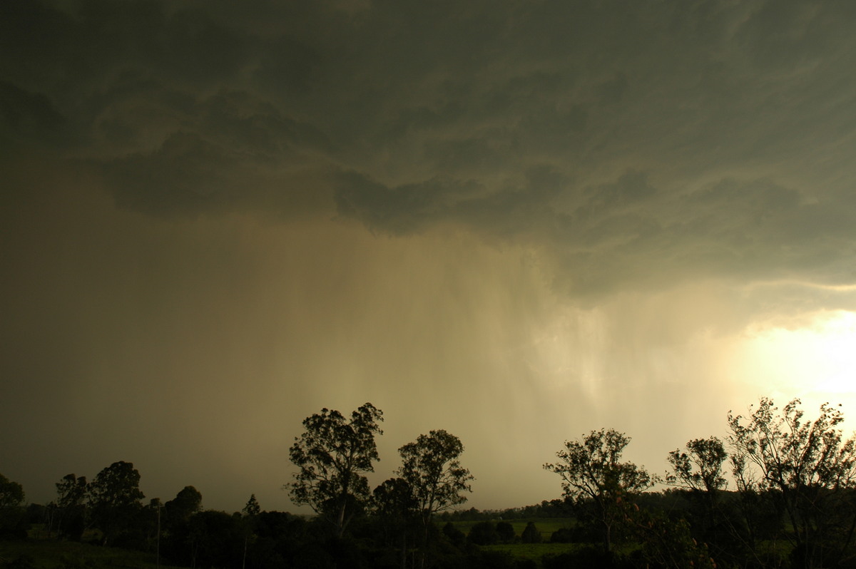 cumulonimbus thunderstorm_base : Kyogle, NSW   29 November 2006