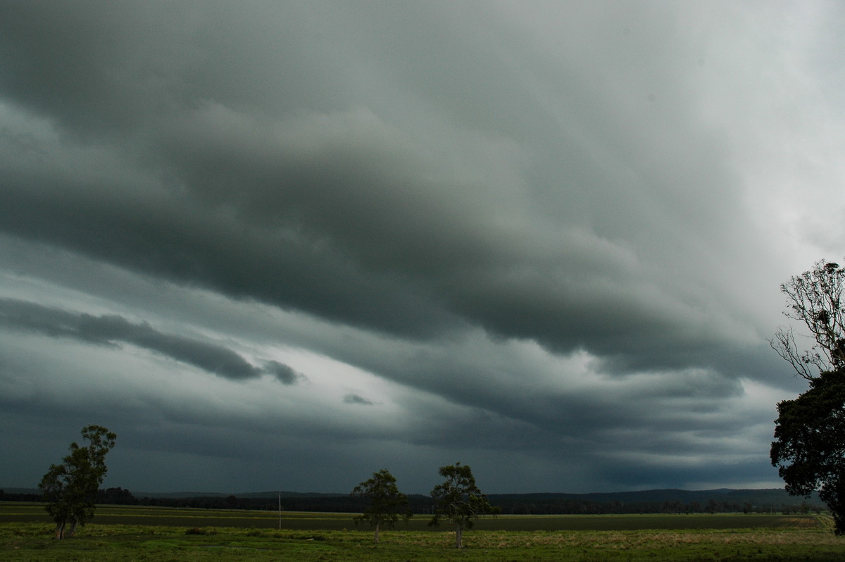 cumulonimbus thunderstorm_base : W of Casino, NSW   3 December 2006