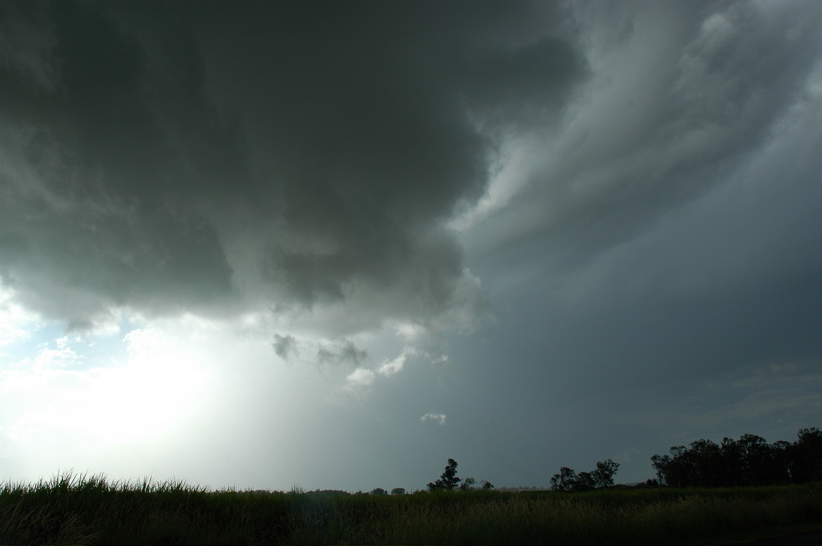 wallcloud thunderstorm_wall_cloud : McKees Hill, NSW   14 December 2006