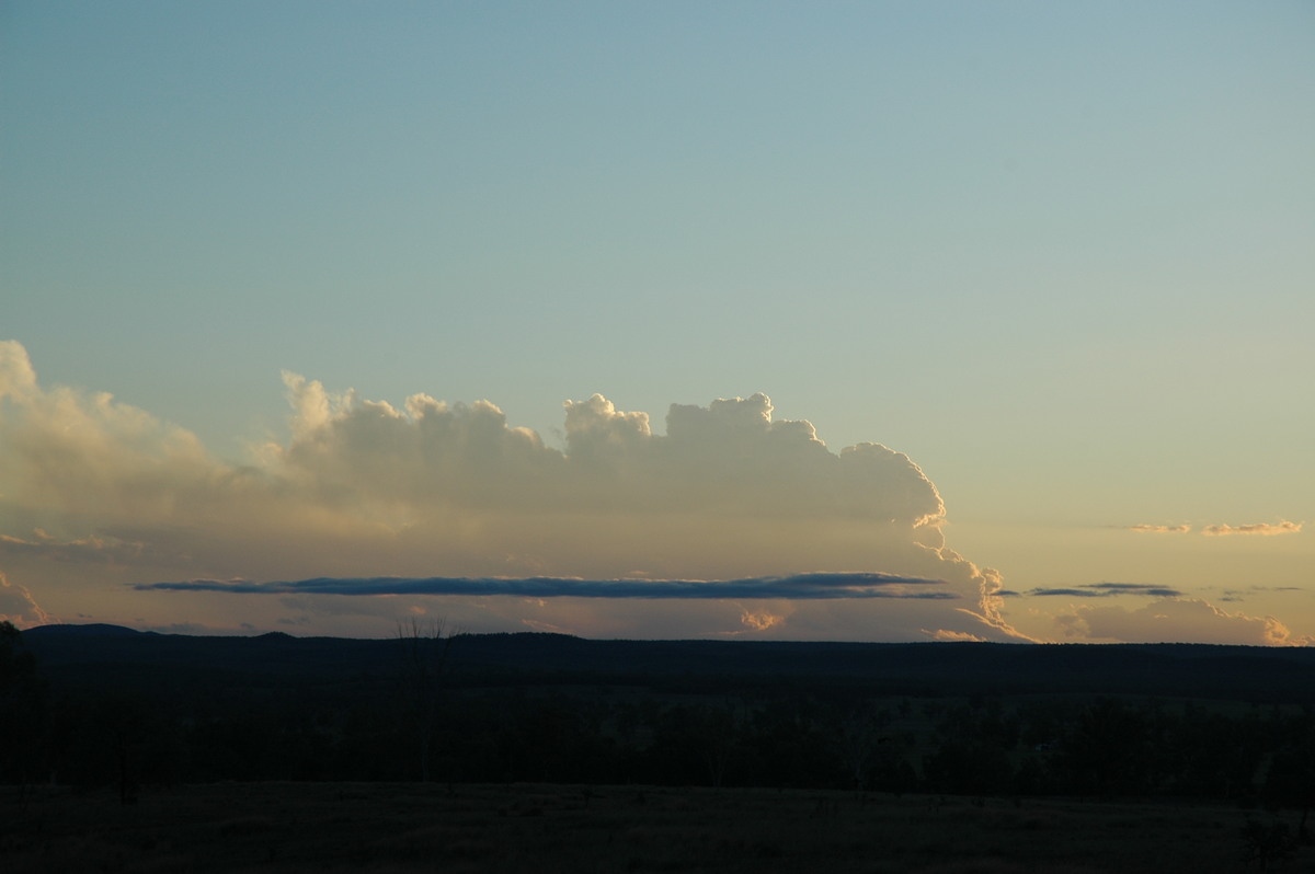 cumulus congestus : near Texas, QLD   16 December 2006