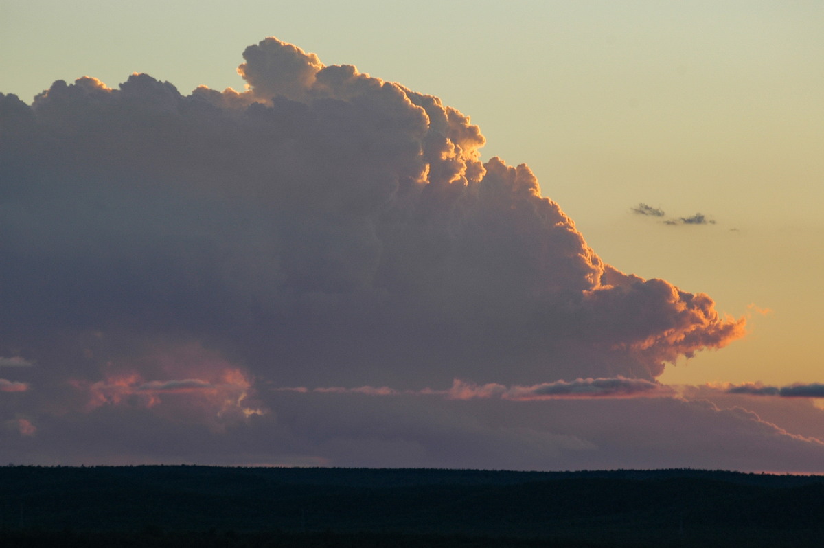 cumulus congestus : near Texas, QLD   16 December 2006