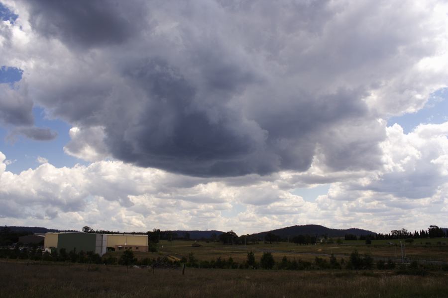 cumulus mediocris : Mittagong, NSW   28 December 2006