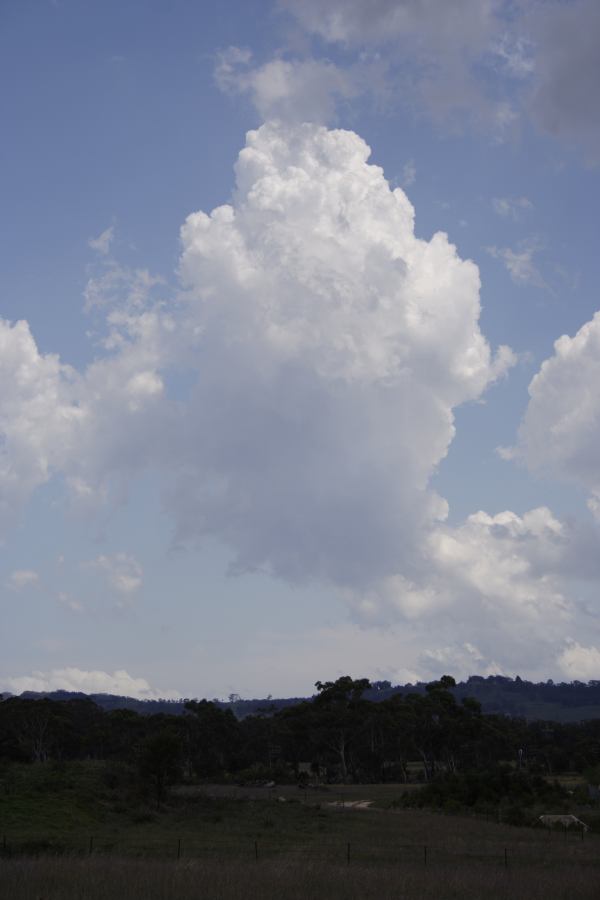 cumulus mediocris : Mittagong, NSW   28 December 2006
