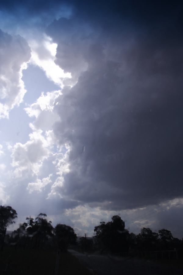 cumulonimbus thunderstorm_base : N of Hilltop, NSW   28 December 2006