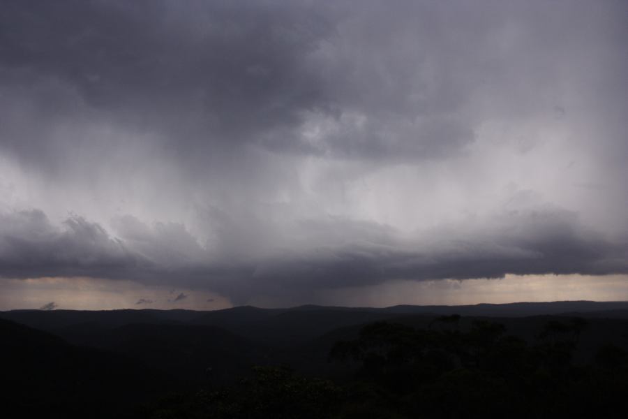 cumulonimbus thunderstorm_base : Mt Wilson, NSW   29 December 2006