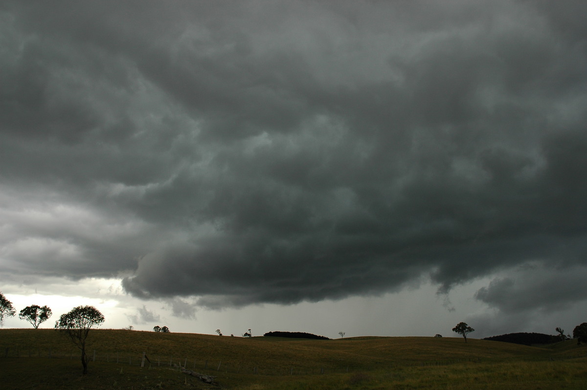 cumulonimbus thunderstorm_base : near Ebor, NSW   31 December 2006