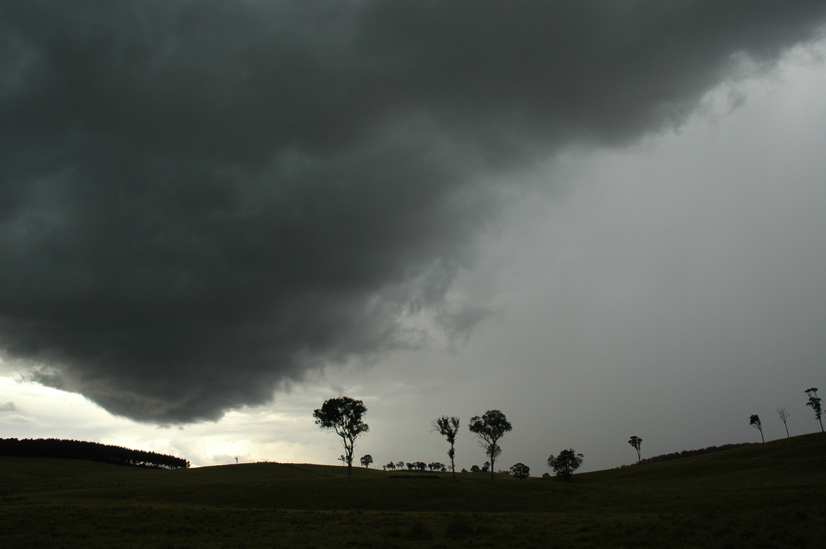 cumulonimbus thunderstorm_base : near Ebor, NSW   31 December 2006