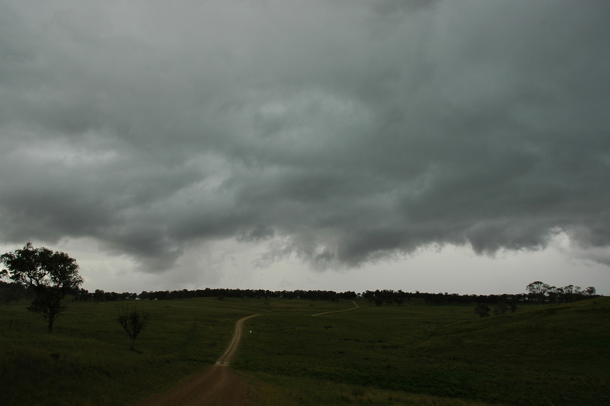 cumulonimbus thunderstorm_base : near Ebor, NSW   31 December 2006