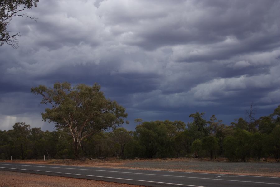 cumulonimbus thunderstorm_base : 30km E of Cobar, NSW   1 January 2007