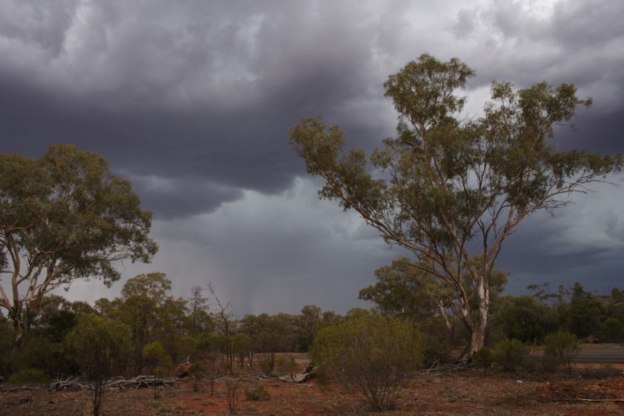 cumulonimbus thunderstorm_base : 30km E of Cobar, NSW   1 January 2007