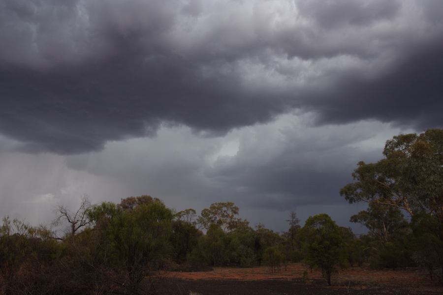 cumulonimbus thunderstorm_base : 30km E of Cobar, NSW   1 January 2007
