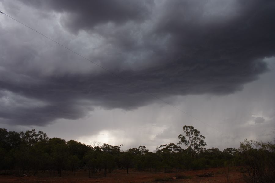 raincascade precipitation_cascade : 30km E of Cobar, NSW   1 January 2007