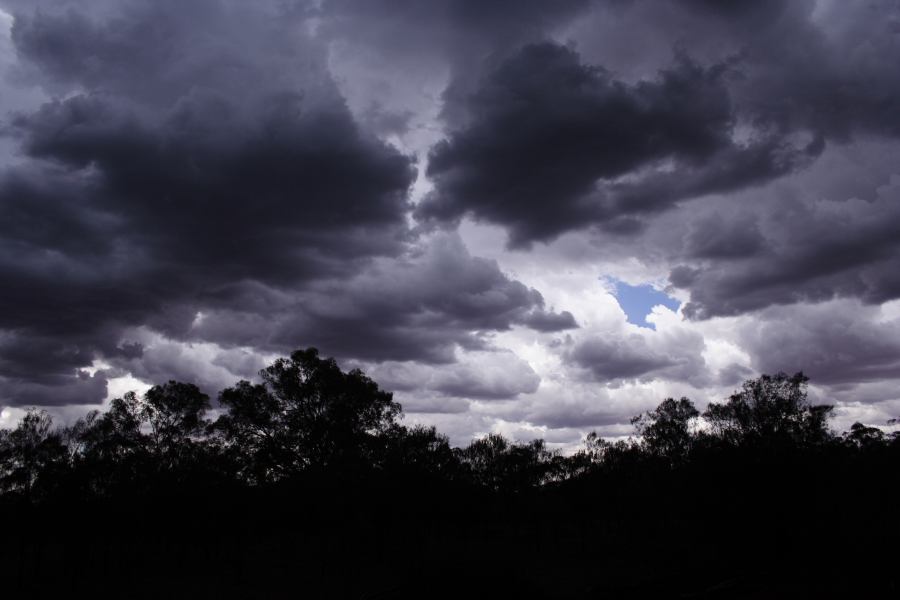 cumulus mediocris : 30km E of Cobar, NSW   1 January 2007
