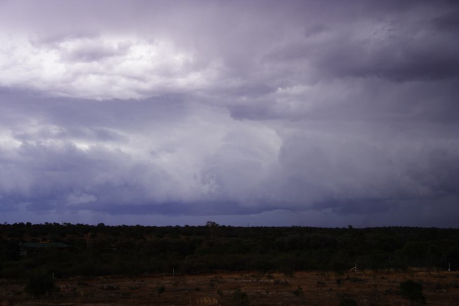 cumulonimbus thunderstorm_base : Cobar, NSW   1 January 2007